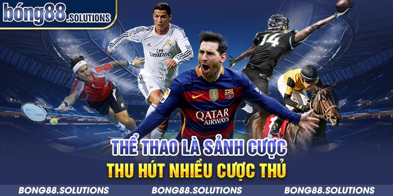 Thể thao là sảnh cược thu hút nhiều cược thủ