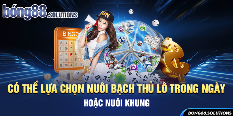 Có thể lựa chọn nuôi bạch thủ lô trong ngày hoặc nuôi khung